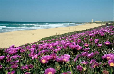 El Palmar Beach - TAXI PEPE El Palmar Beach