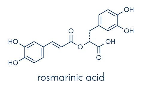 Rosmarinic acid sources, health benefits and uses