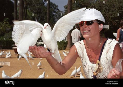 Woman feeding pigeons Stock Photo - Alamy