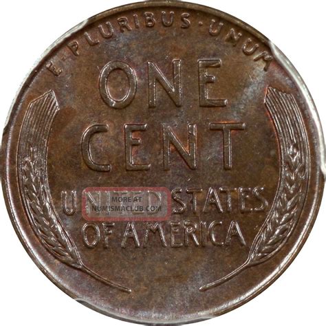 1955 Double Die Lincoln Penny Ms64 Bn Brown Pcgs Cac 1c Cent