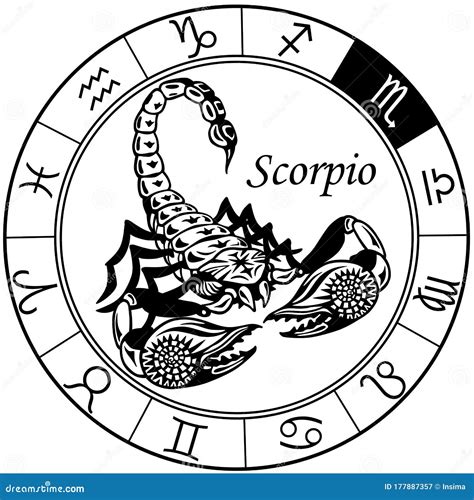 Scorpio Tattoo Zodiac Sign: Discover the Best Designs and Meanings for ...