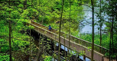 This 7.5km Waterfront Trail Takes You Through A Beautiful Nature Sanctuary In Ontario | Ontario ...