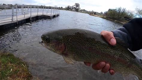 Rainbow and Lightning Trout Fishing - YouTube