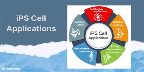 Induced Pluripotent Stem Cell (iPS Cell) Applications in 2024 ...