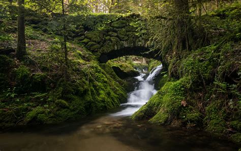 black forest germany stage creek river bridge | Natura