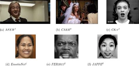 Example datasets commonly used in computer vision FER. In contrast ...