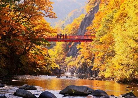 Hokkaido Autumn Foliage 2021: 9 Best Places For Fall Leaves (And When To See Them) | LIVE JAPAN ...