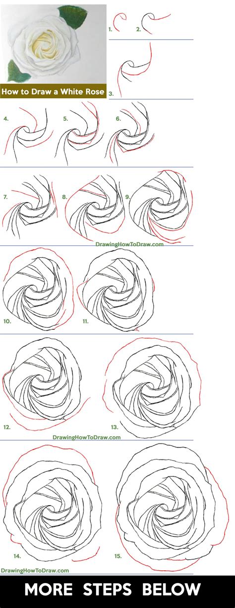 How to Draw a White Rose from Above for Valentine’s Day – Using Pencils ...