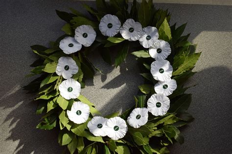 How to Make a White Poppy Wreath | Peace Pledge Union