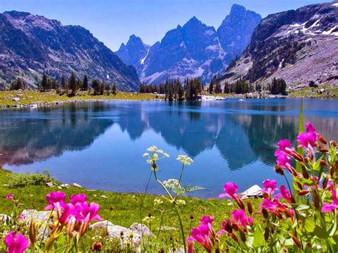 San Martin de Los Andes Argentina | Cuadros de la naturaleza, Argentina paisajes, Cuadros de ...