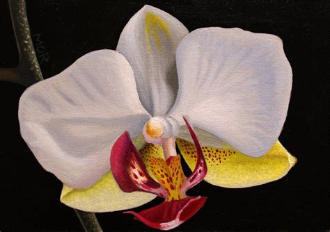 Orchid original acrylic painting flower by DietrichsArt on Etsy