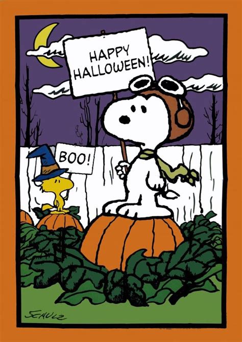 84 best Charlie Brown Halloween images on Pinterest | Happy halloween ...