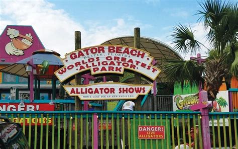 Destin florida attractions you ll love in destin florida – Artofit