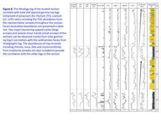 petroleum system elements .pptx