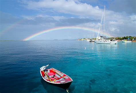 The ABC islands – Ñandú