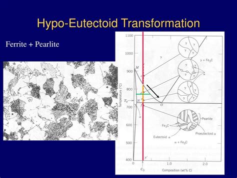 PPT - Hypoeutectoid Steels (C C