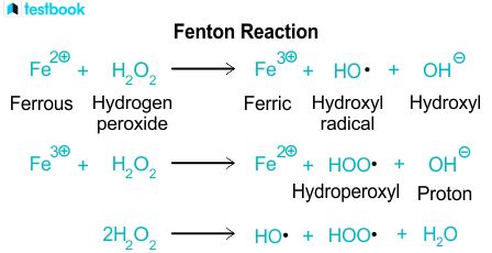 Fenton’s Reaction: Know Its Protocol, Definition & Mechanism