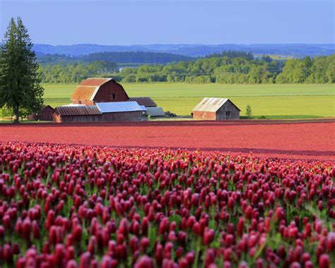 Picture of our barn in The Oregonian! | Oregon camping, Oregon outdoors, Clover field