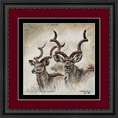 Kudu Art, the Ghosts of Africa, Print of a Couple of Kudu in Kimberley South Africa, Northern ...