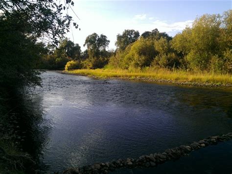 Turlock Lake State Recreation Area, La Grange, CA - GPS, Campsites ...