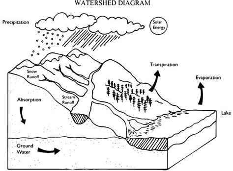 watershed-diagram.gif | Water cycle diagram, Watersheds, Educational ...