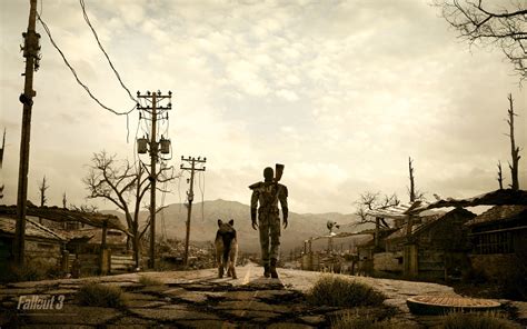 Lone Wanderer - The Fallout wiki - Fallout: New Vegas and more