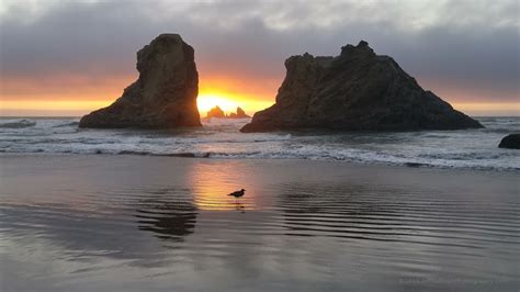 Sunset on the Oregon Coast - Great Basin School of Photography