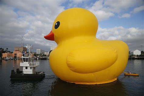 Giant Rubber Duck Floats Into Port of Los Angeles - PHOTOS