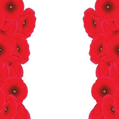 Poppy Border Vector Art, Icons, and Graphics for Free Download