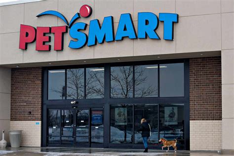 Two Dog Owners Claim Their Pets Died Following Grooming at PetSmart