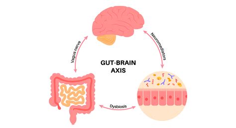 Is there a disconnect between how your brain and gut communicate in IBS?