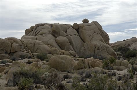 Skull Rock Nature Trail - Joshua Tree National Park — Cali49