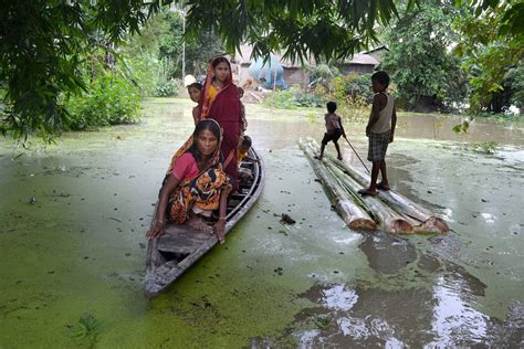 Assam Floods Cause 85% Of Kaziranga Park To Go Under Water, Affects Over 22.5 Lakh People