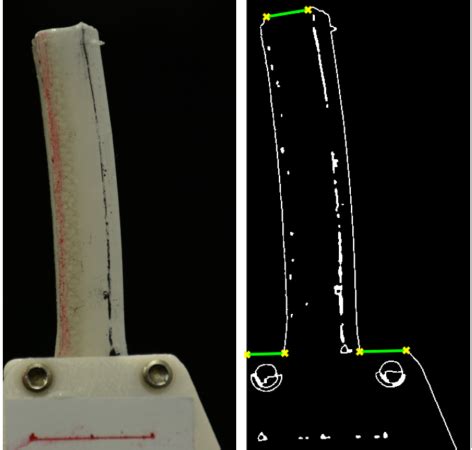 Raw data and image processing. | Download Scientific Diagram