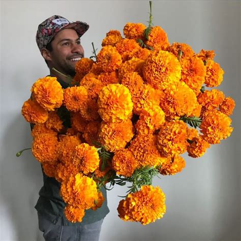 Orange Flowers In Coco | Best Flower Site