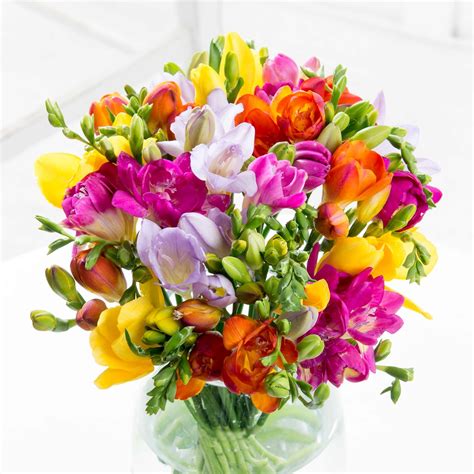 Keep it simple with this one flower bouquet of Simply Freesia. | Freesia flowers, Birthday ...