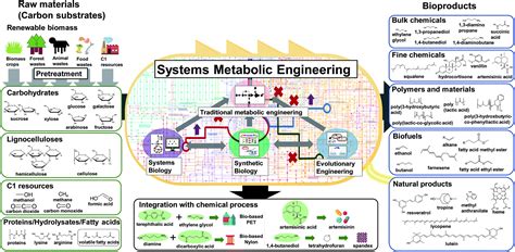 Tools and strategies of systems metabolic engineering for the development of microbial cell ...