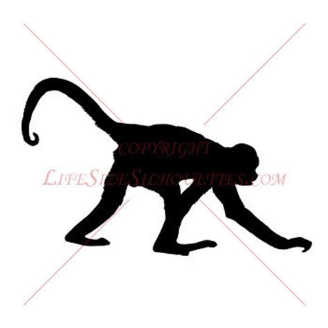 MONKEY Vinyl Decal, High Quality Detailed Wall Vinyl Silhouette, Wall Decal 30 - Etsy