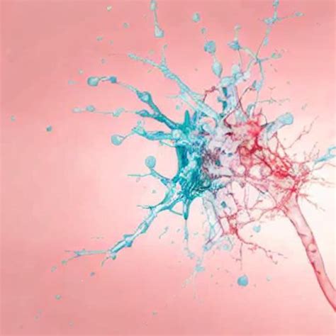 Trauma-Induced Coagulopathy: Understanding the Lethal Triad