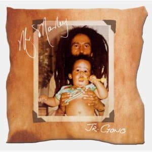 Damian Marley Lyrics, Songs, and Albums | Genius