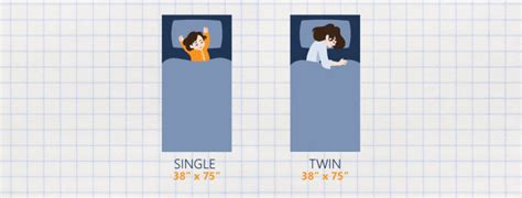 Single vs. Twin Bed Size: How Do They Compare? - Sleep Advisor