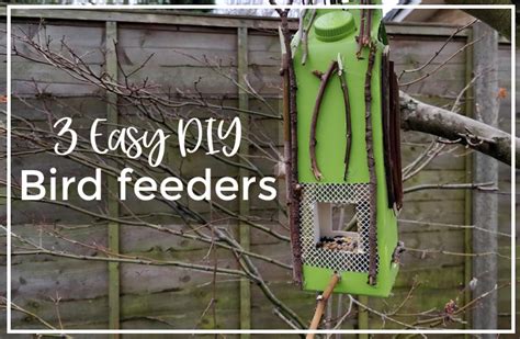 3 Easy DIY Bird Feeders from Recycled Materials - Curious and Geeks