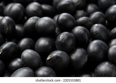 23,667 Soybean Black Images, Stock Photos & Vectors | Shutterstock