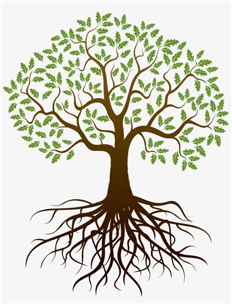 Drawing Tree Root - Arbol Con Raices Dibujo | Tree with roots drawing, Tree drawing, Roots drawing