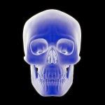 Human skull, front view. — Stock Photo © Pixelchaos #25636929