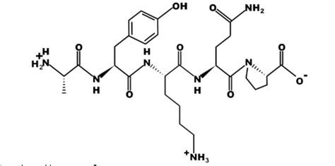 Solved Please explain how to get the ph for the following | Chegg.com