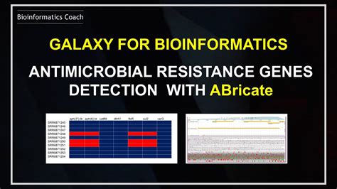 Galaxy Bioinformatics Tutorial | Antimicrobial resistance genes detection with ABricate - YouTube