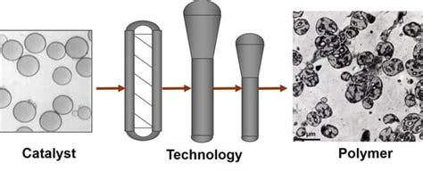 Polymers | Free Full-Text | Polymerization in the Borstar Polypropylene ...