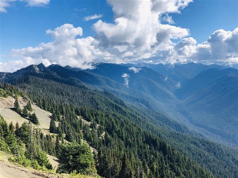 [OC] Hurricane Ridge, Olympic National Park, WA [1334x750] : r/EarthPorn