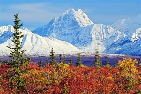 Alaskan Fall Tundra Vista Photograph by David Broome